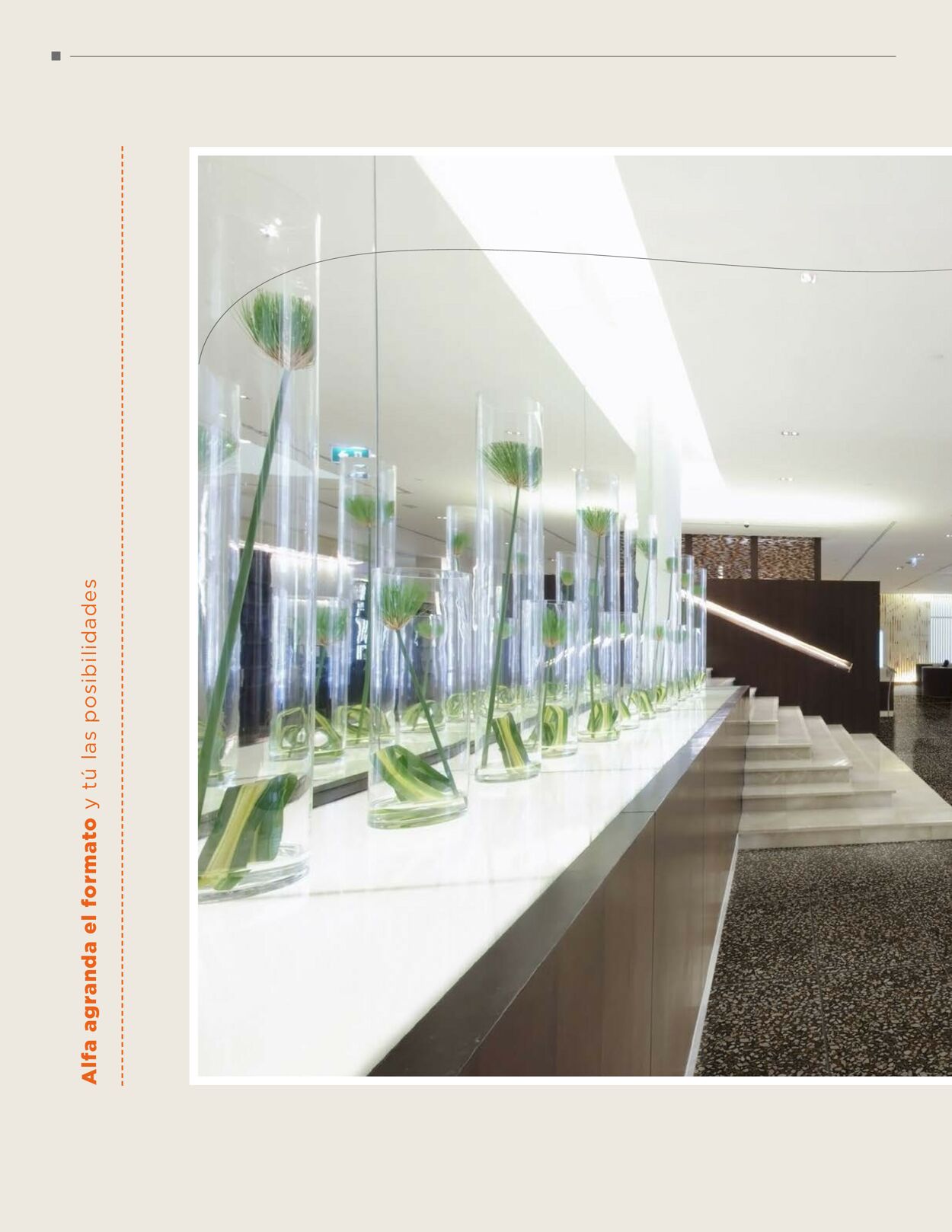 Catálogo Alfa 21.04.2022 - 30.09.2022