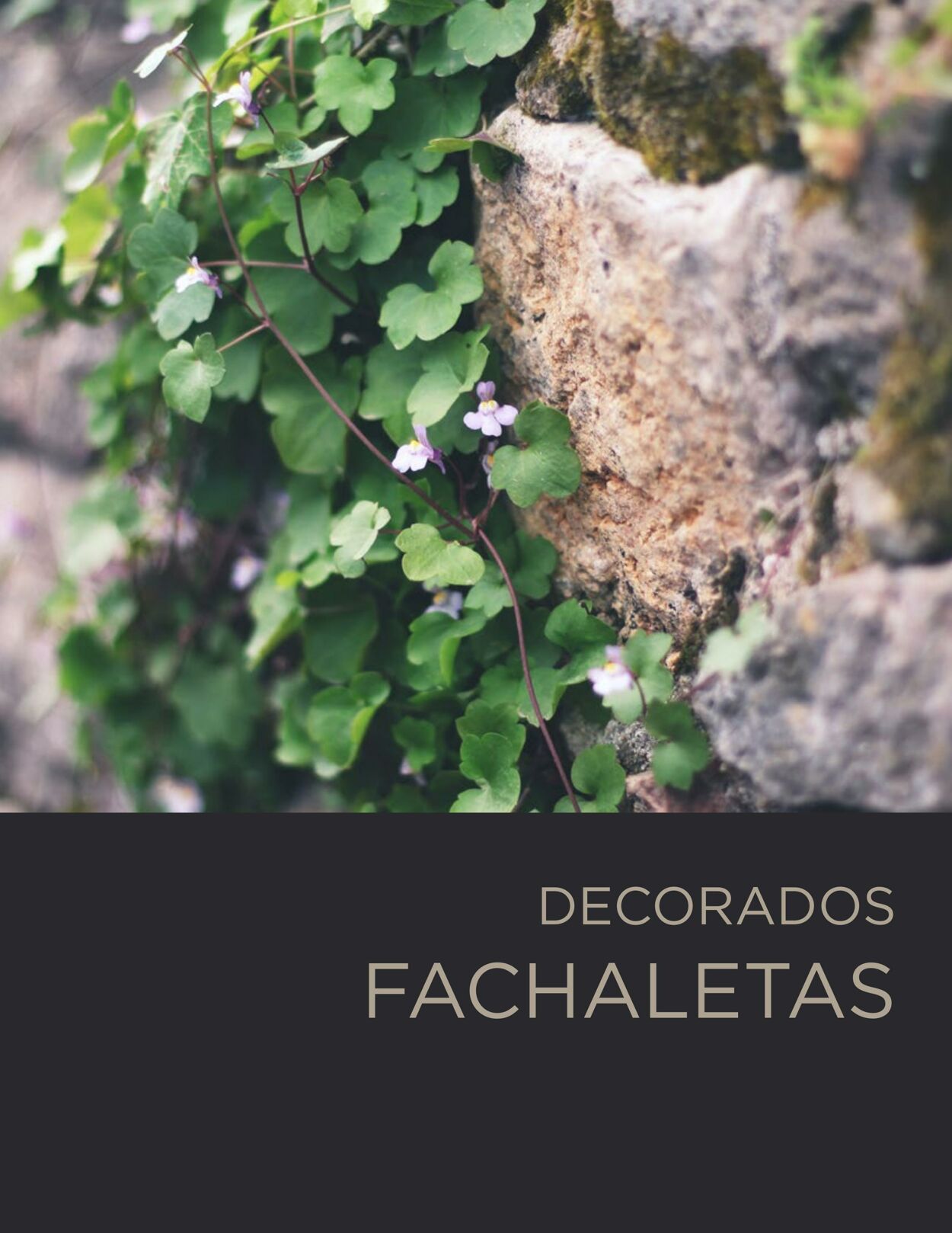 Catálogo Decorcerámica 01.10.2022 - 30.12.2022