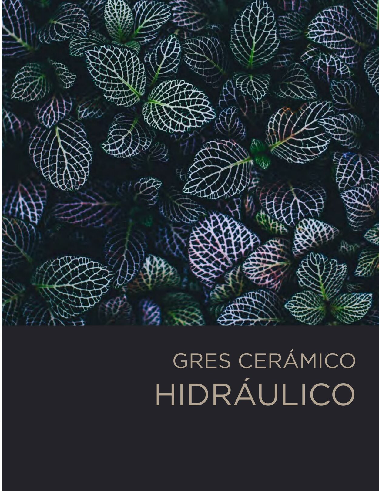 Catálogo Decorcerámica 01.08.2022 - 31.12.2022