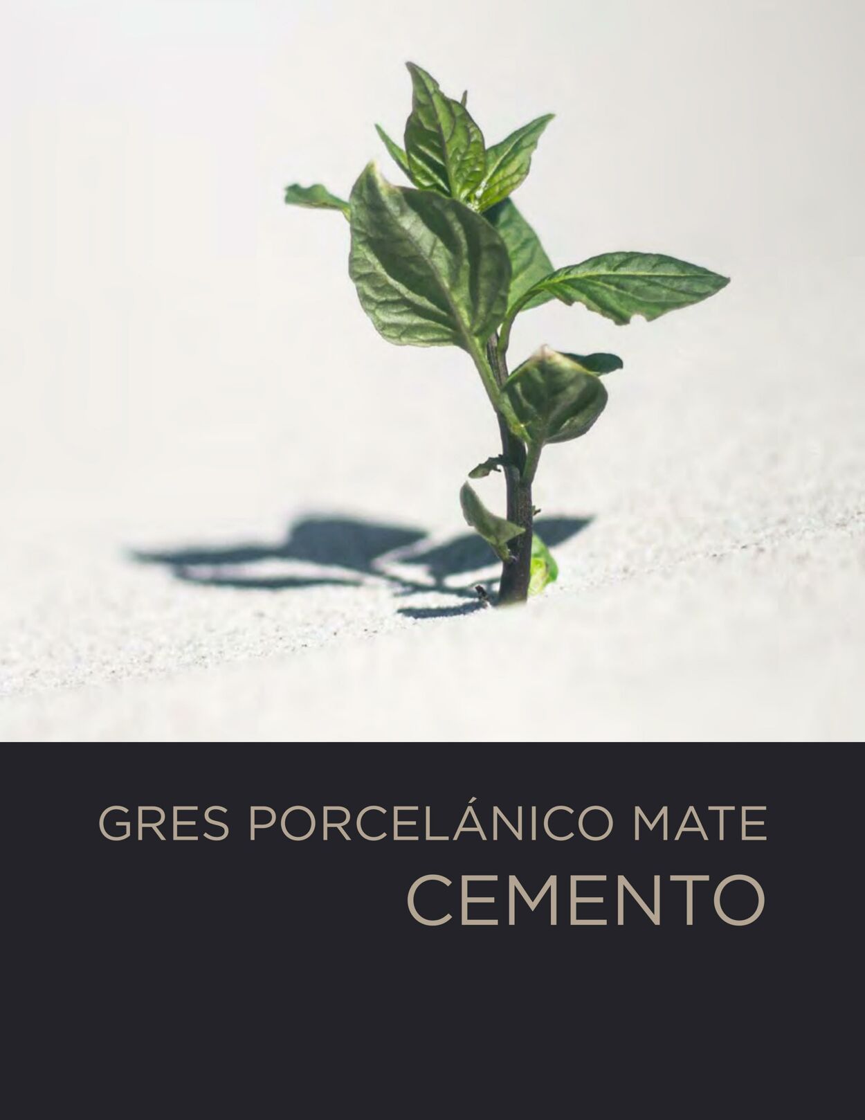 Catálogo Decorcerámica 01.08.2022 - 31.12.2022