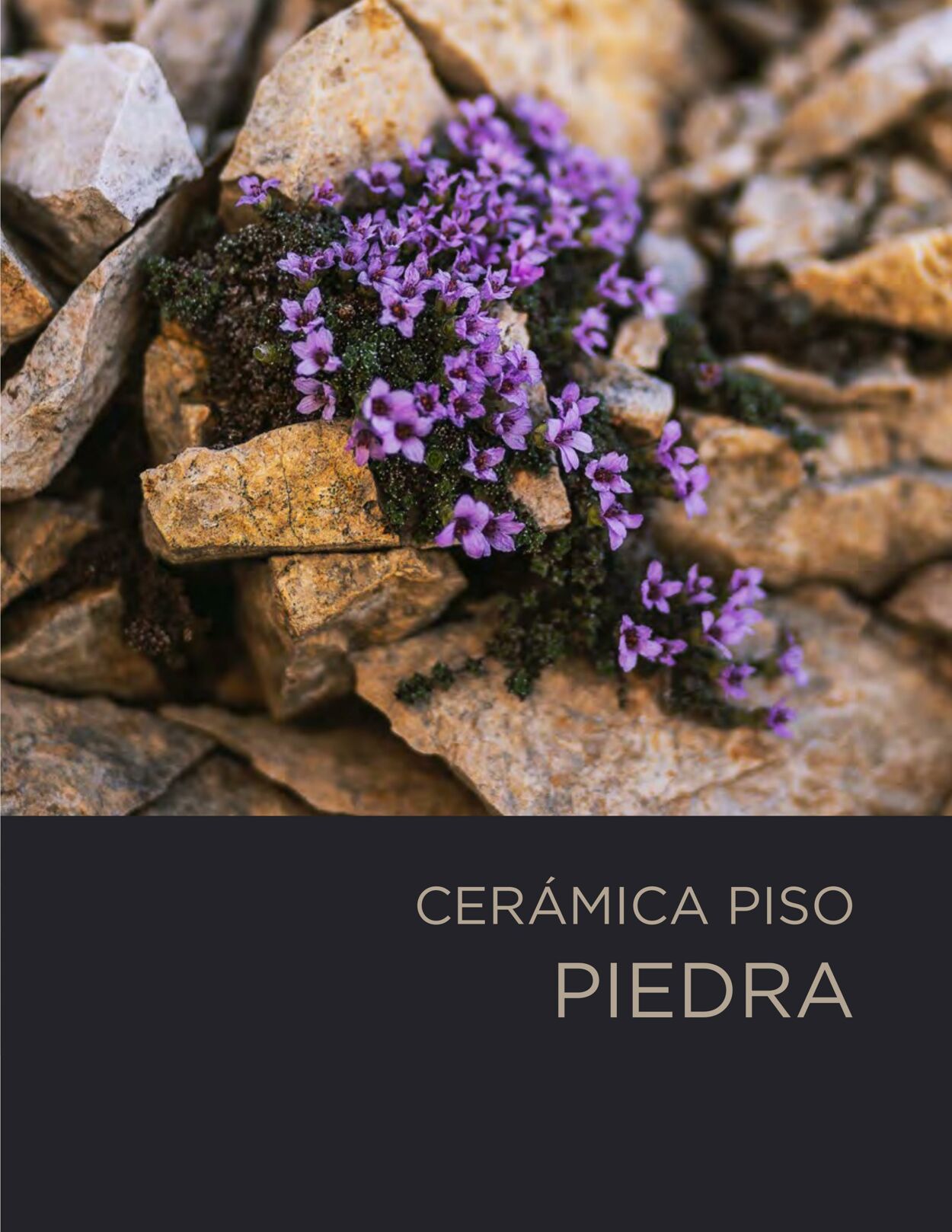 Catálogo Decorcerámica 01.08.2022 - 31.12.2022