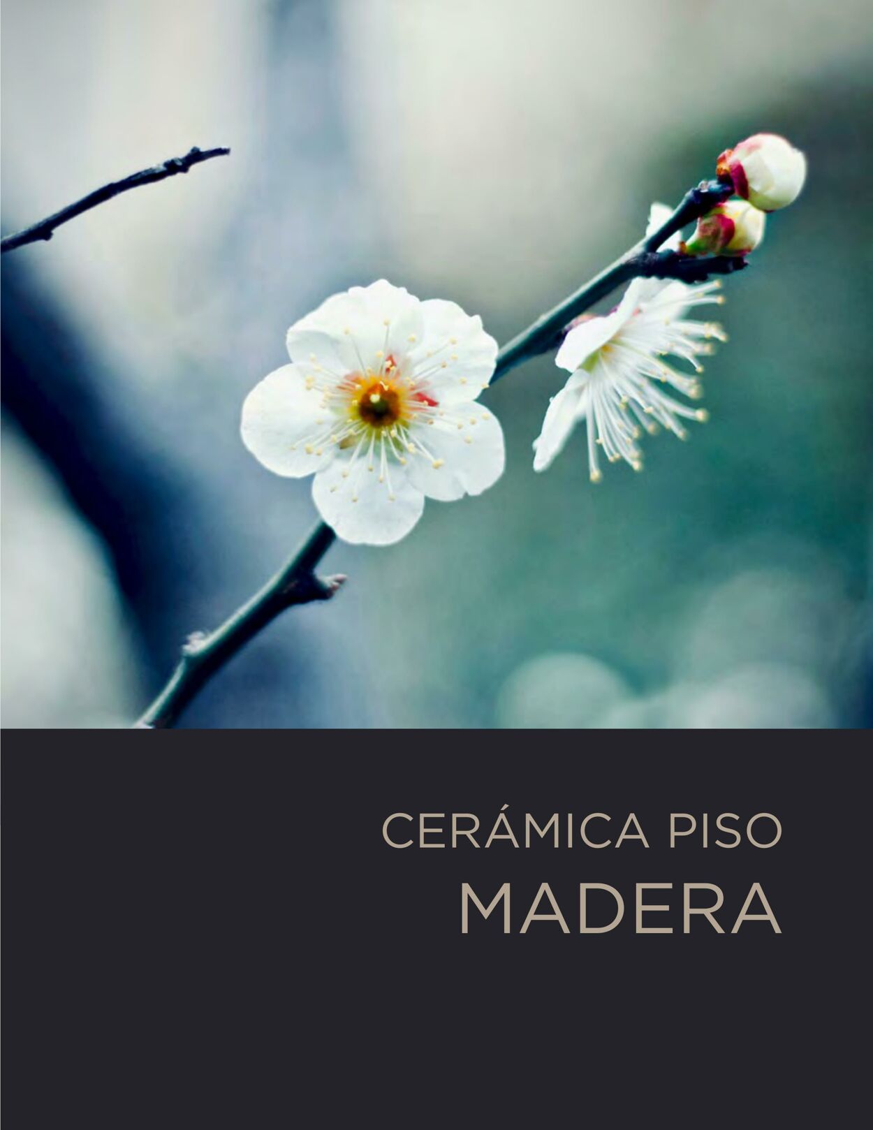 Catálogo Decorcerámica 01.08.2022 - 31.12.2022