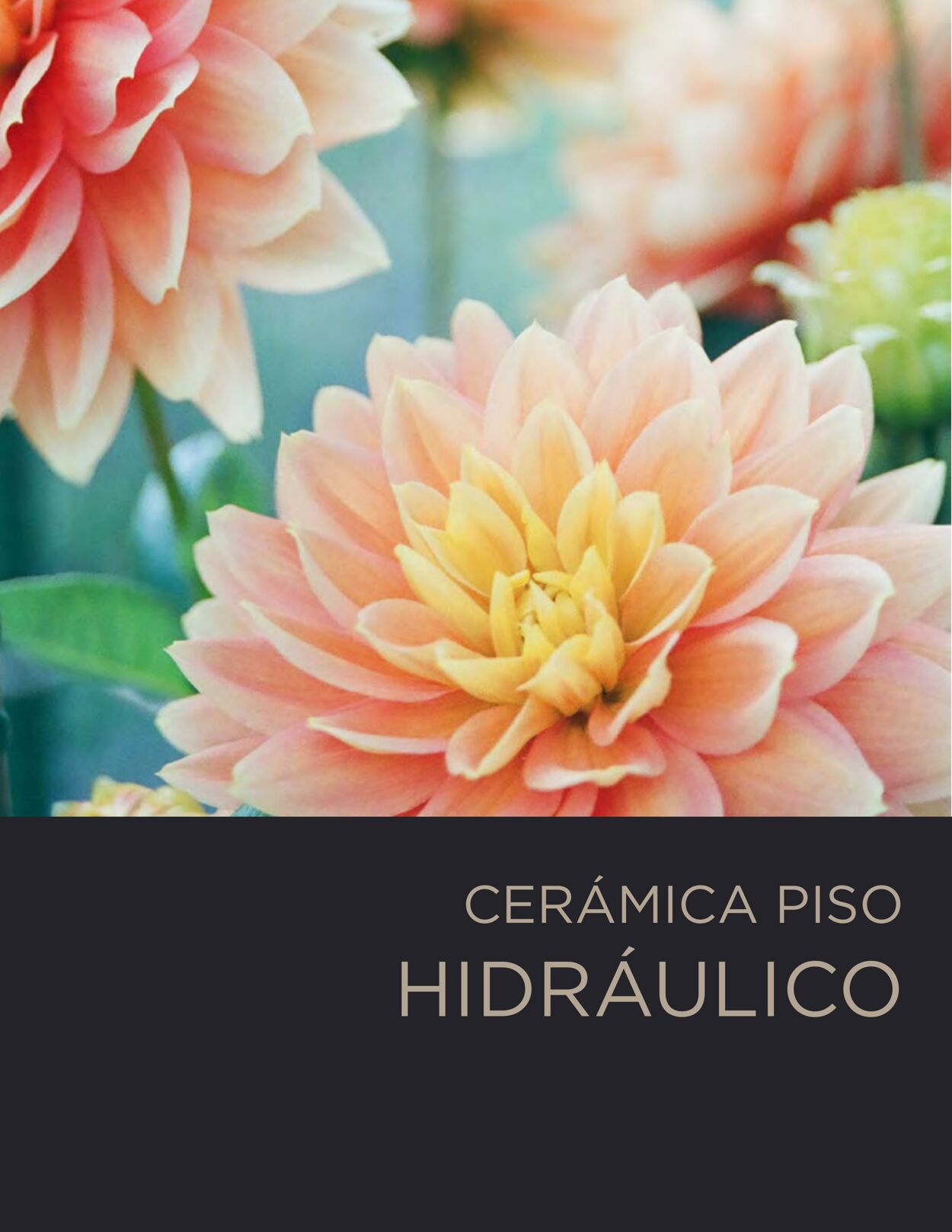 Catálogo Decorcerámica 01.08.2022 - 31.12.2022