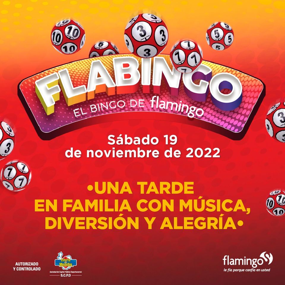 Catálogo Flamingo 19.11.2022 - 19.11.2022