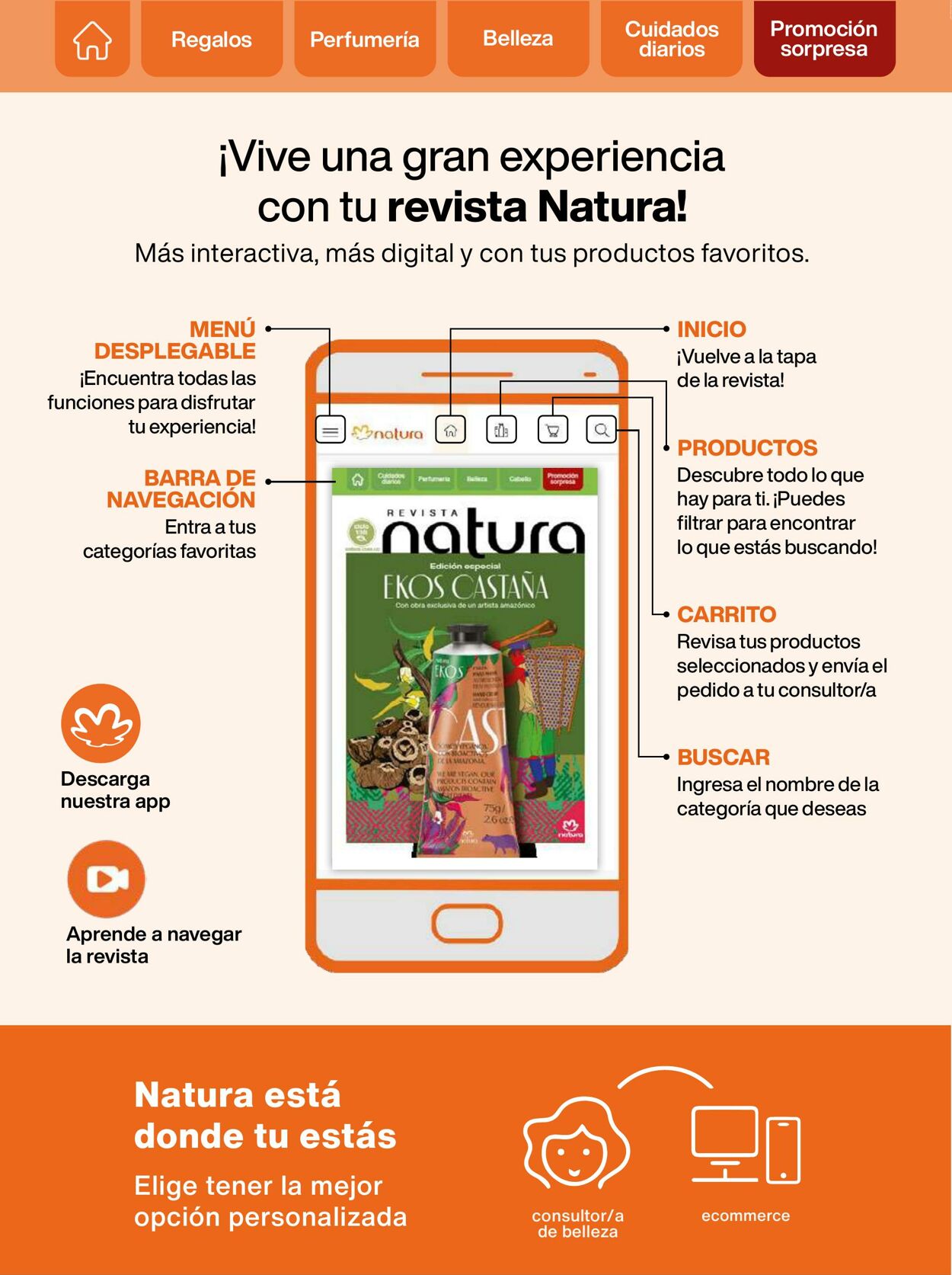 Catálogo Natura 04.02.2023 - 10.02.2023