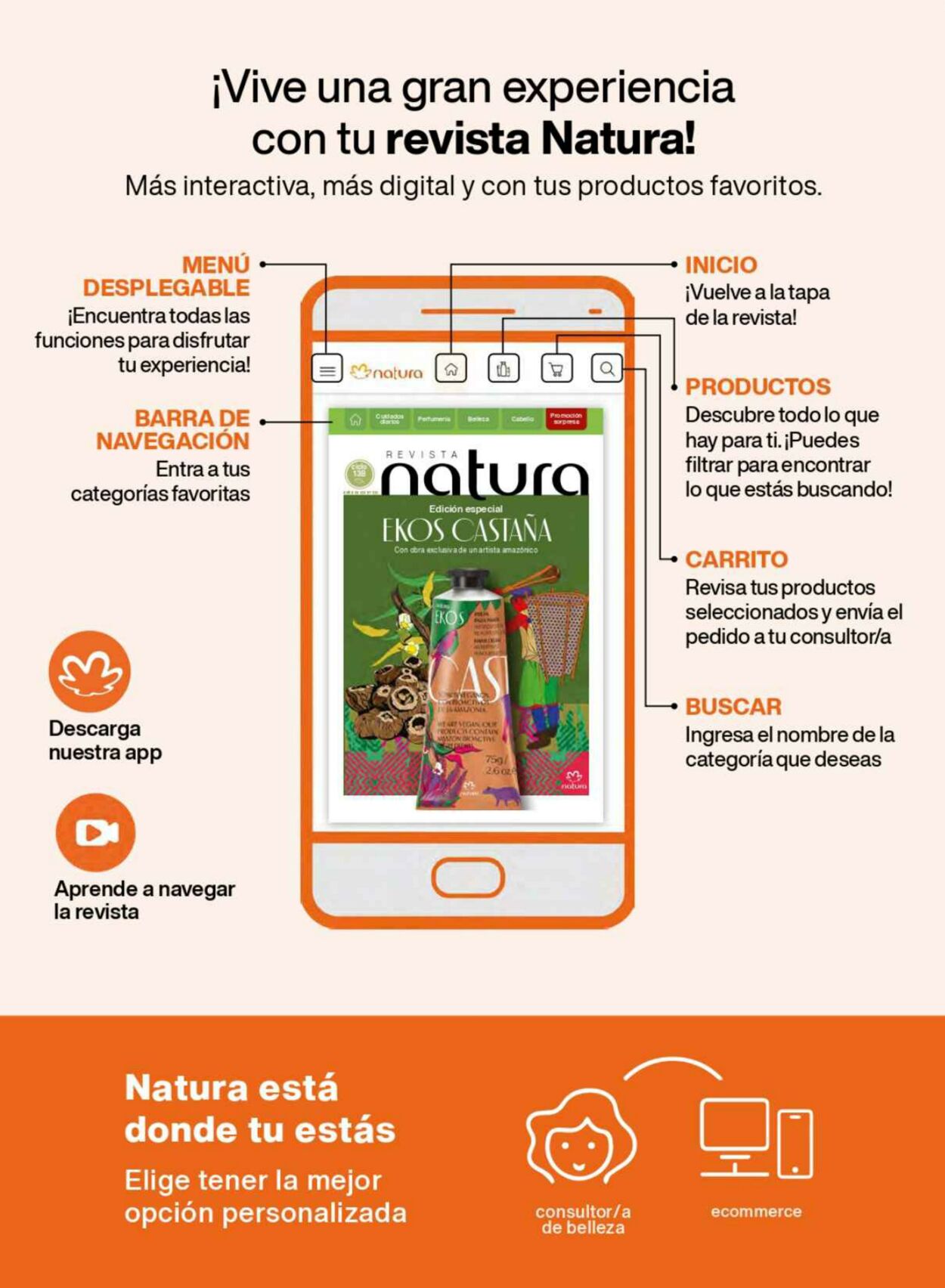 Catálogo Natura 06.10.2022 - 12.11.2022