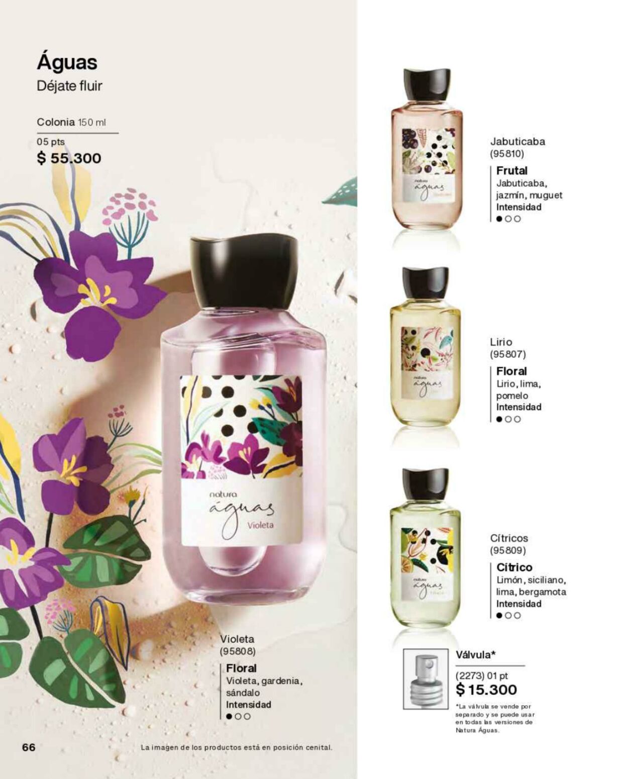 Catálogo Natura 18.11.2022 - 27.12.2022