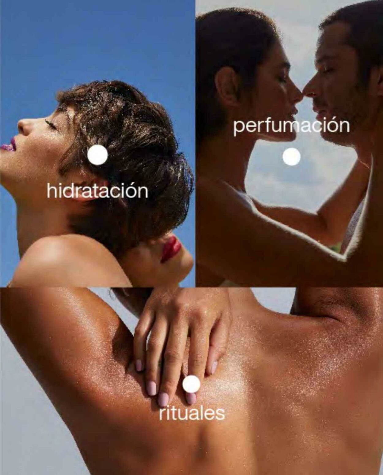 Catálogo Natura 18.11.2022 - 27.12.2022