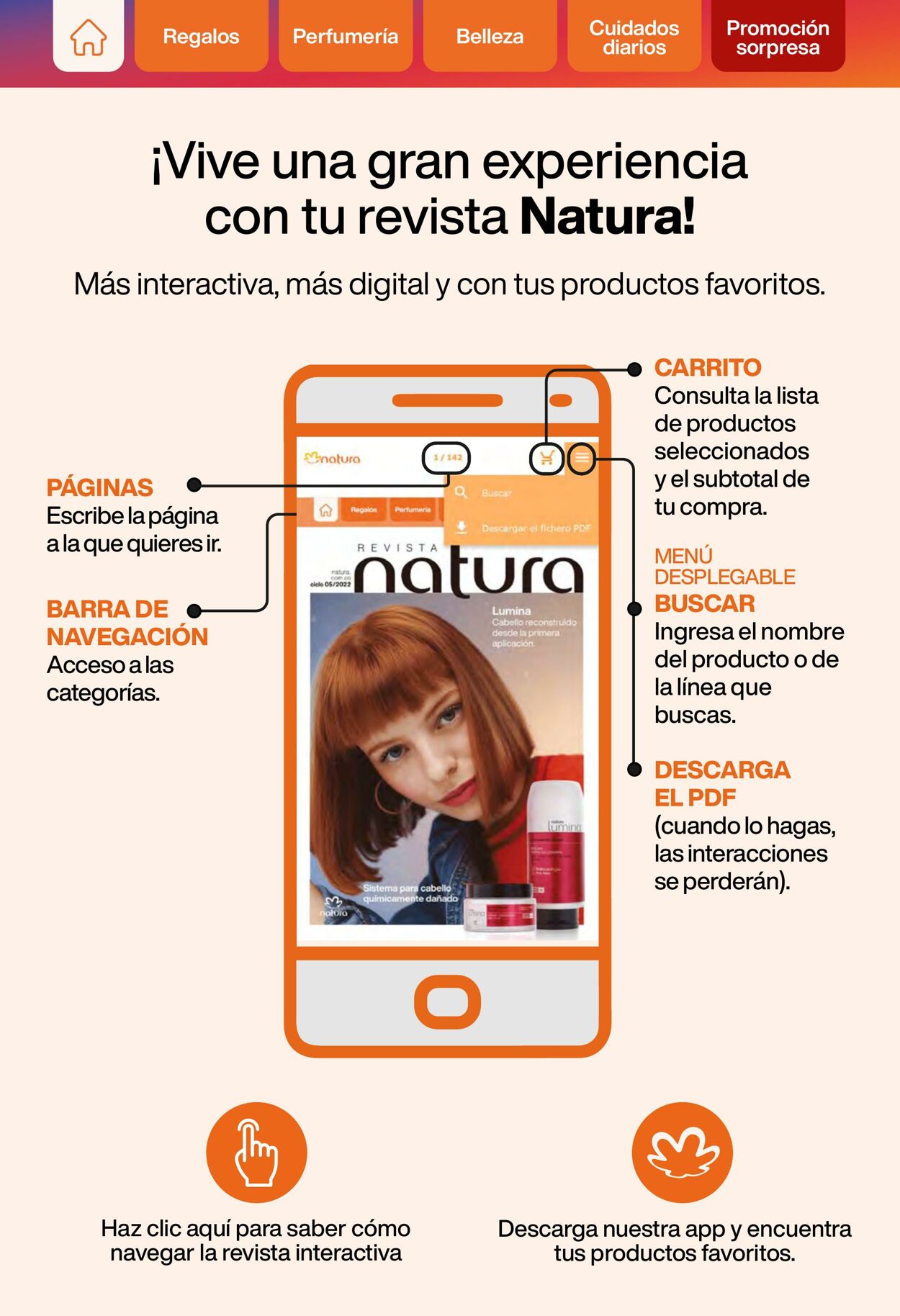 Catálogo Natura 23.06.2022 - 23.07.2022