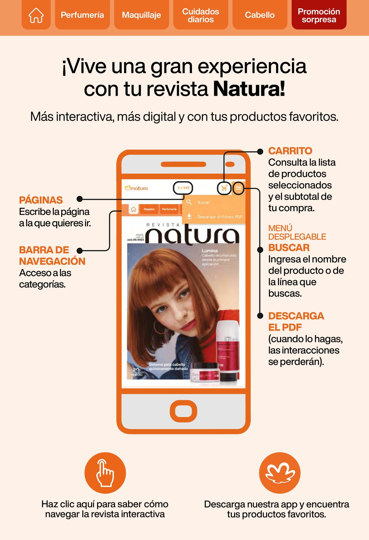 Catálogo Natura 14.06.2022 - 04.07.2022