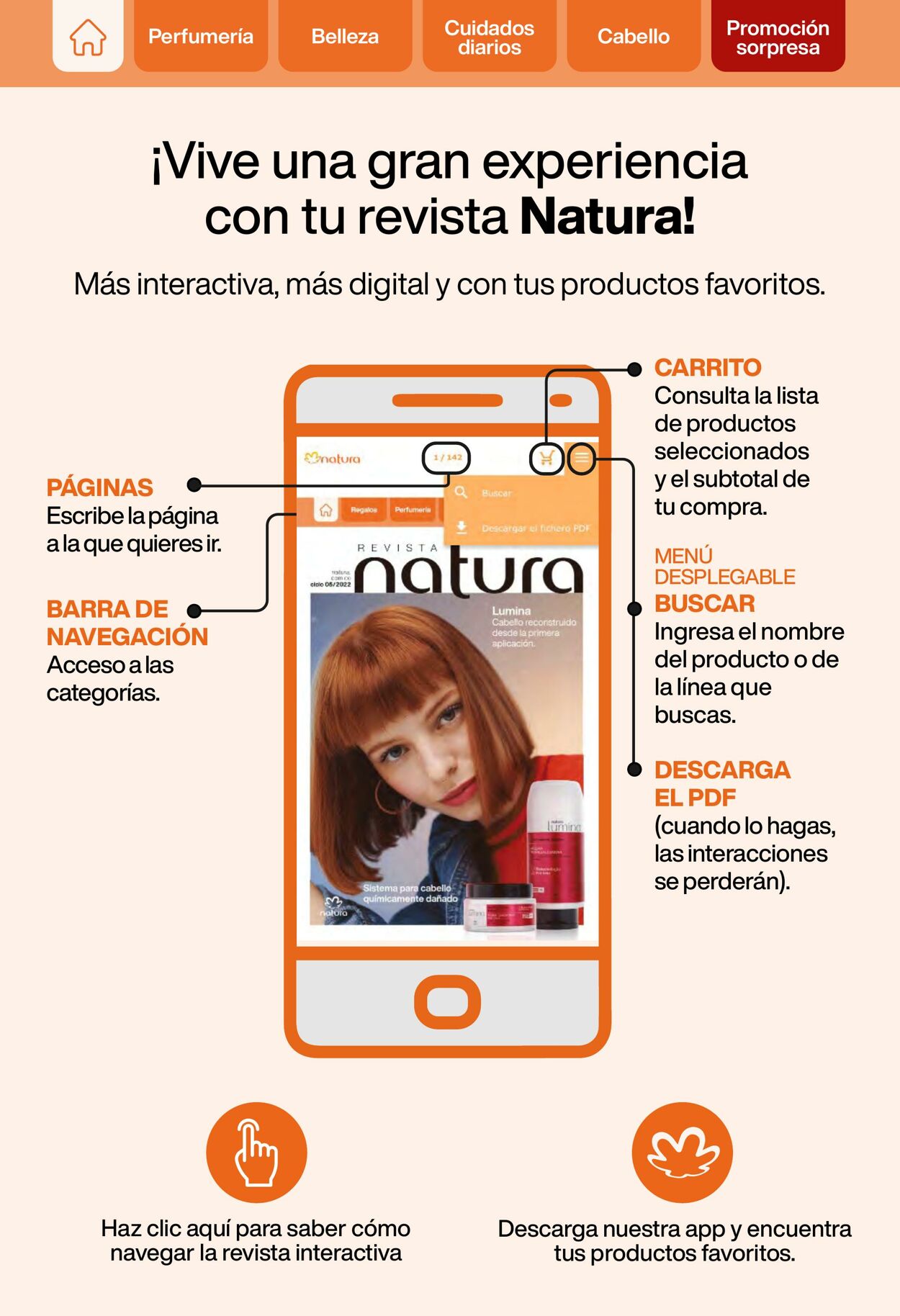 Catálogo Natura 08.06.2022 - 11.07.2022