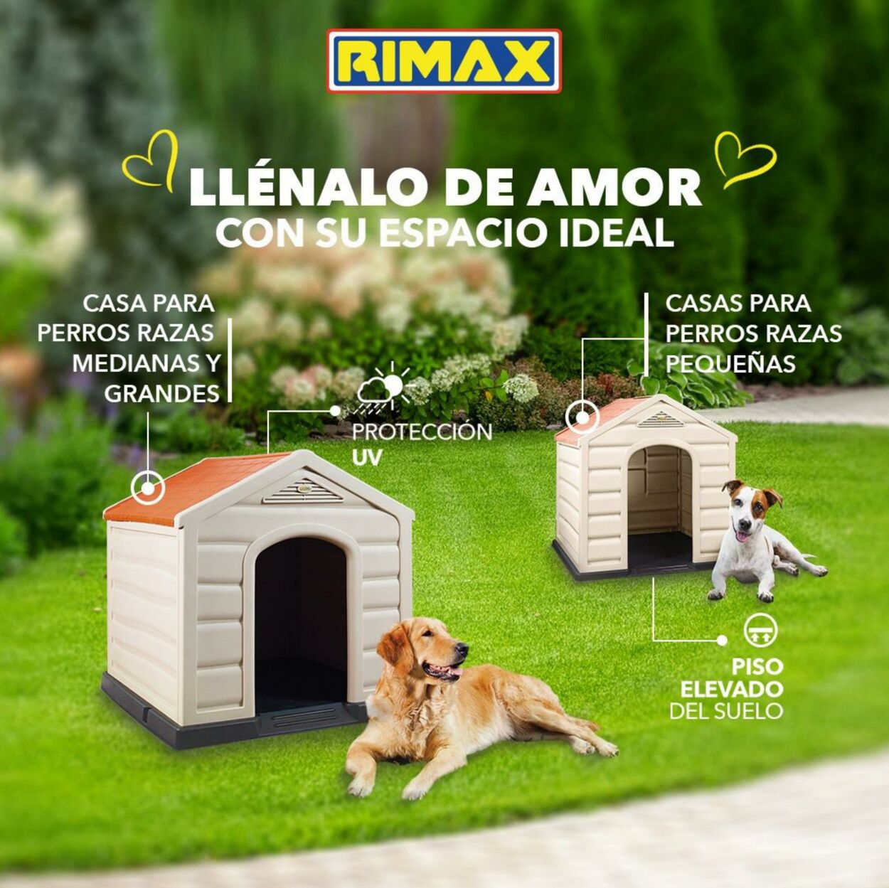 Catálogo Rimax 09.08.2022 - 11.08.2022