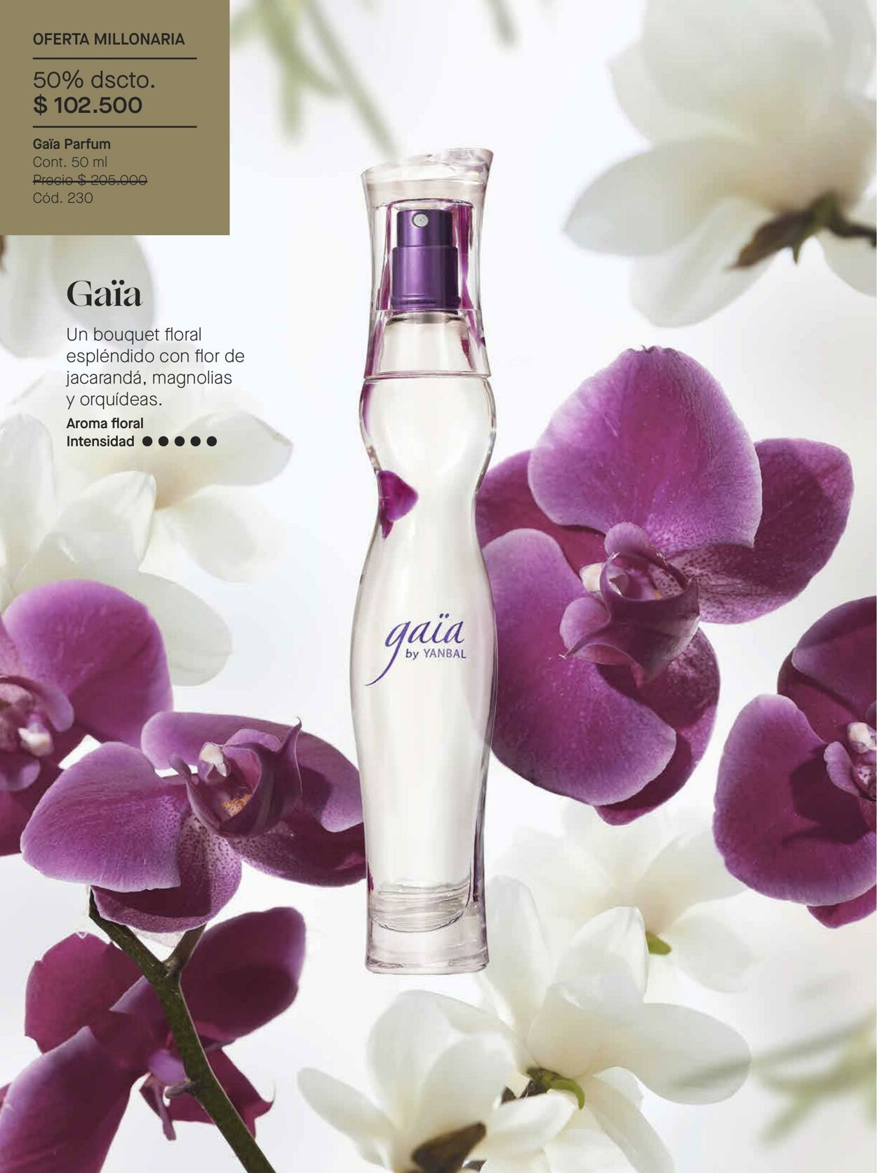 Catálogo Yanbal 18.06.2022 - 15.07.2022