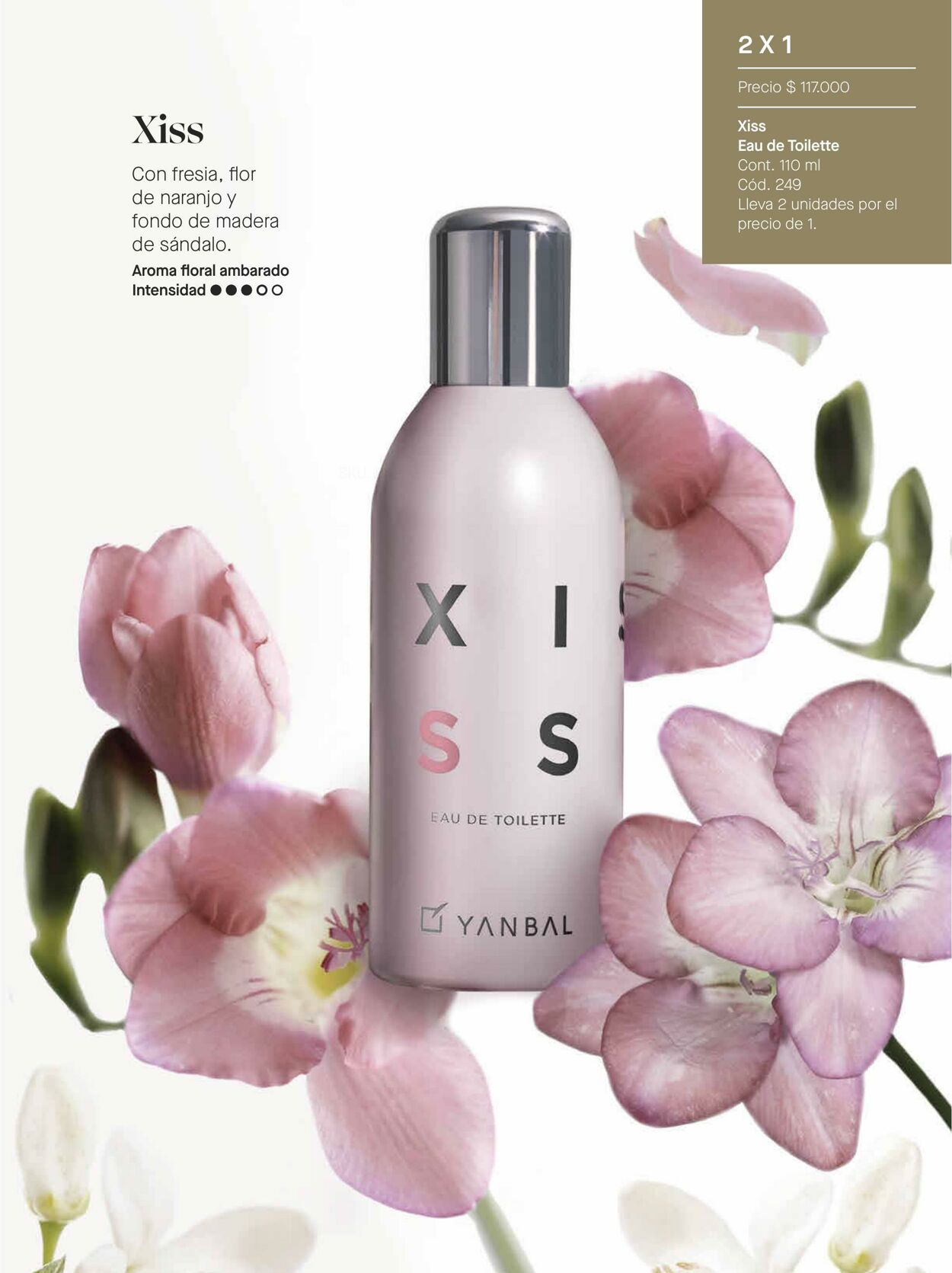 Catálogo Yanbal 18.06.2022 - 15.07.2022