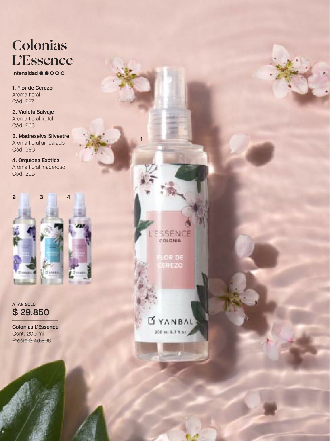 Catálogo Yanbal 13.08.2022 - 09.09.2022