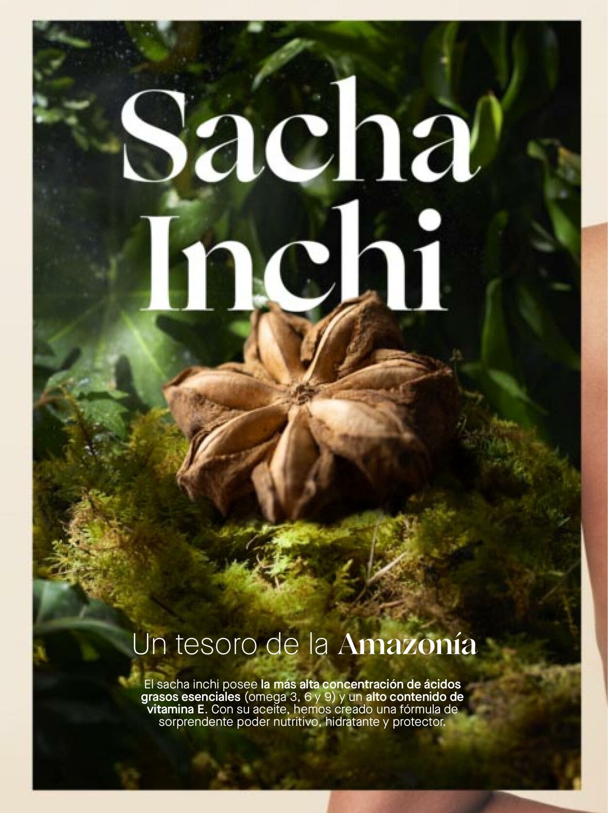 Catálogo Yanbal 13.08.2022 - 09.09.2022