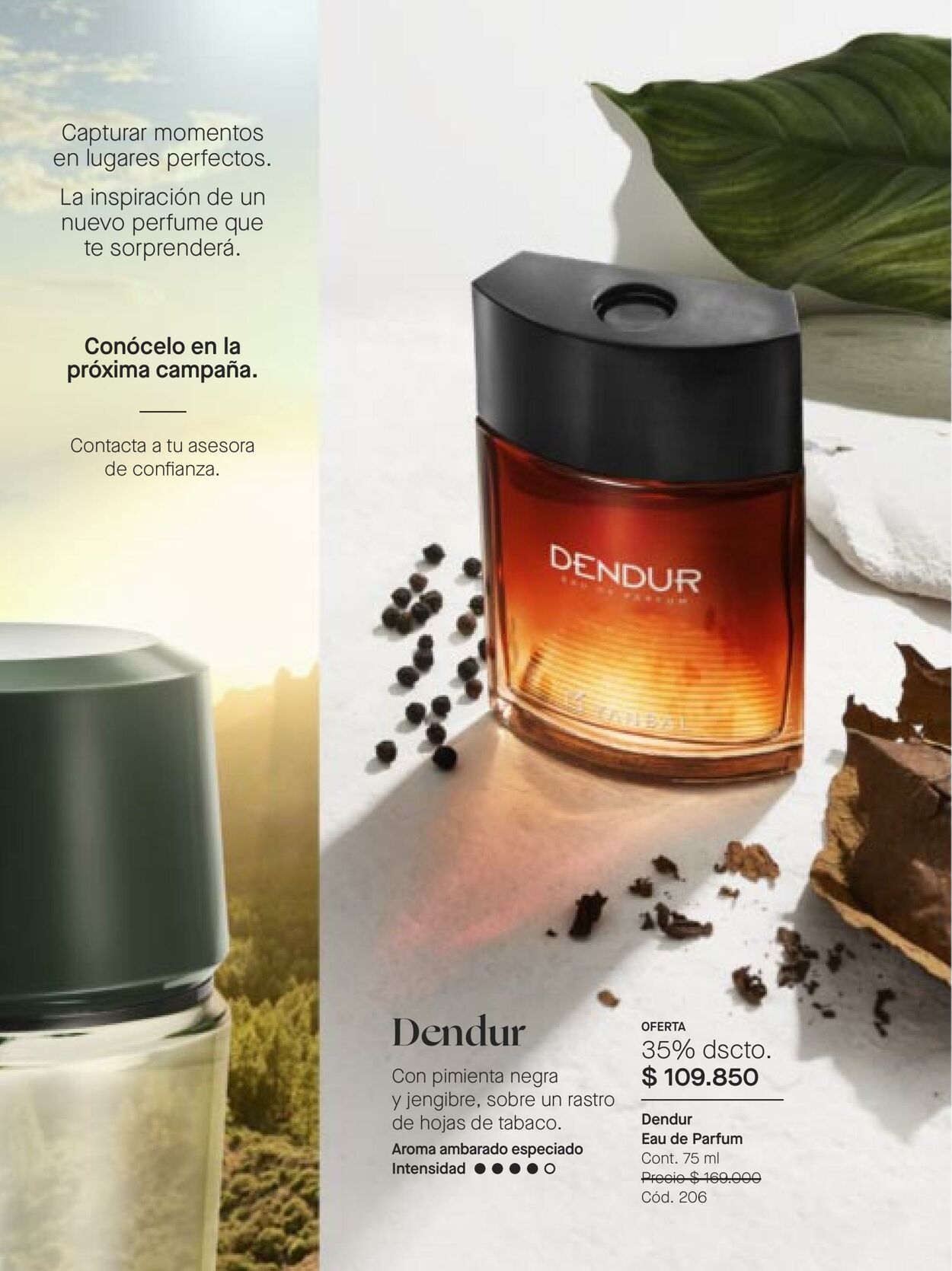 Catálogo Yanbal 13.08.2022 - 09.09.2022