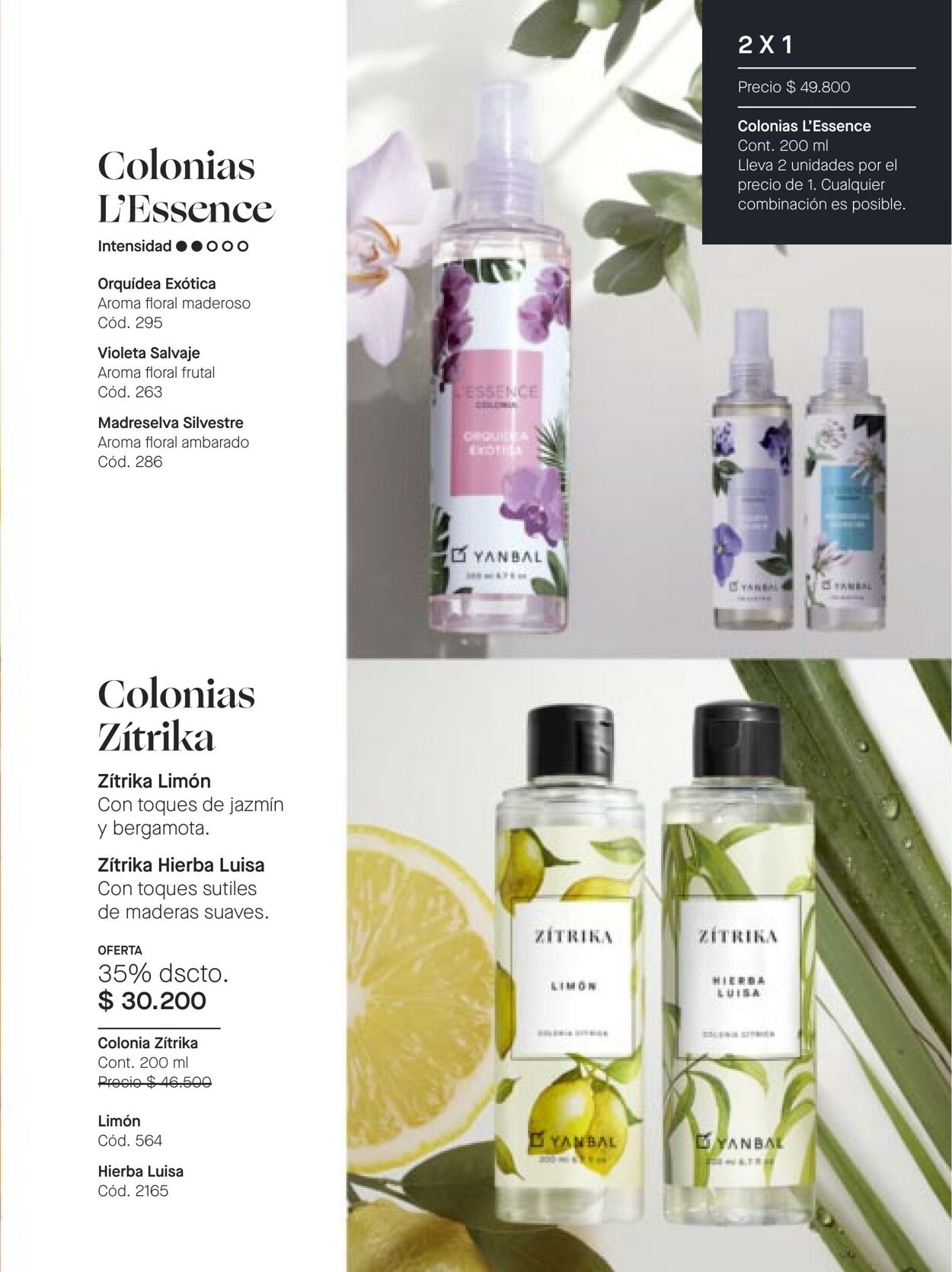 Catálogo Yanbal 16.07.2022 - 12.08.2022