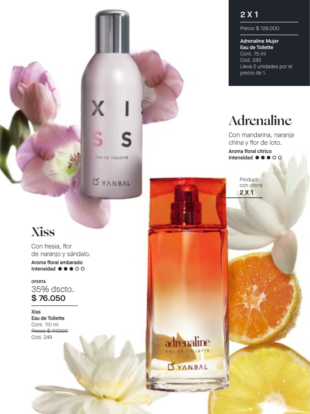 Catálogo Yanbal 16.07.2022 - 12.08.2022