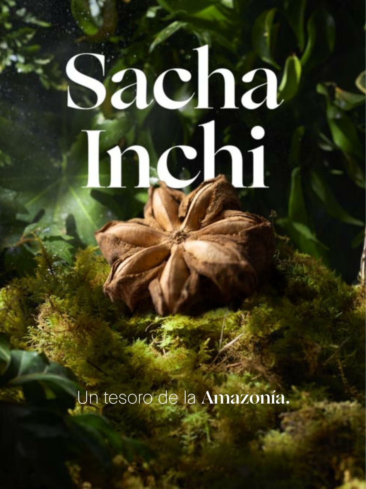 Catálogo Yanbal 16.07.2022 - 12.08.2022